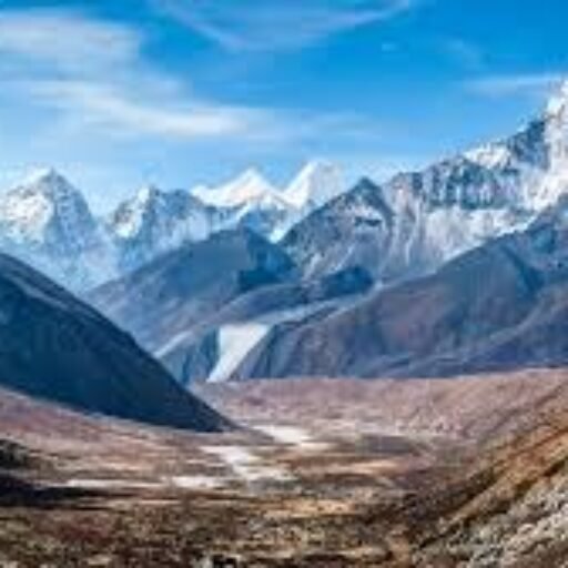 ताइक्वांडो खिलाड़ी के मामले में सामने आए पूरे तथ्य, भ्रामक प्रचार से बचें